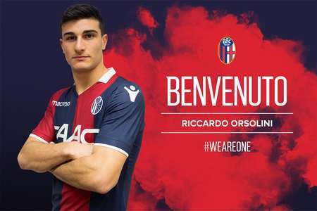 加多元化 加多元化